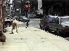021298SIDEWALKEXHIB17.JPG
